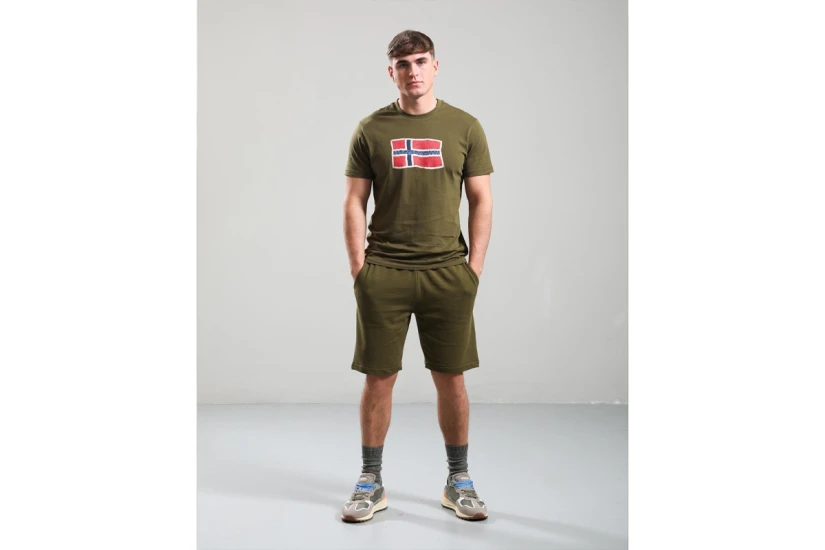 Napapijri Mahsa Ανδρικό Κοντομάνικο T-Shirt Χακί