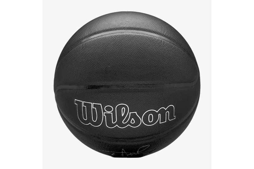 Wilson Nba Player Evergreen Giannis Antetokounmpo Size 7 Μπάλα Μπάς (WZ4026701XB7)