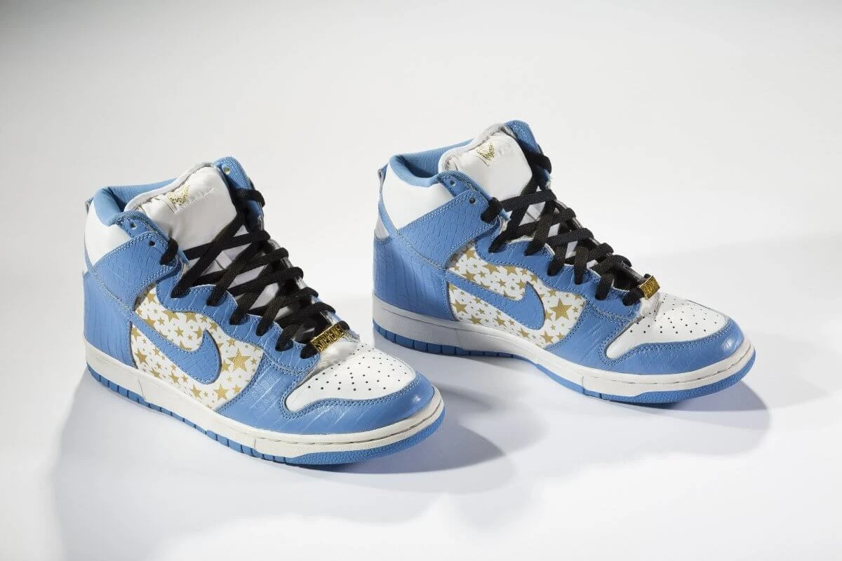 nike-x-supreme-dunk-high-pro_2003.jpg