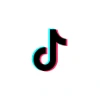 TikTok Hall of Brands